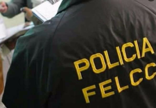 «Hablaban hace varios meses»: Mexicano contactó a la menor encontrada en Costa Rica por redes