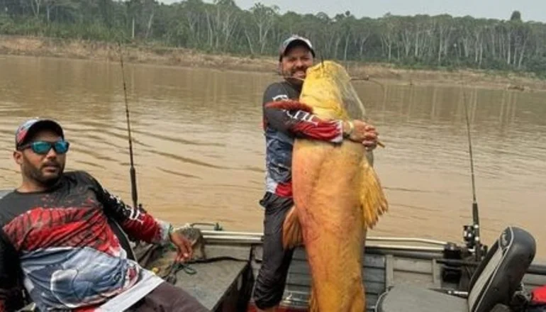 Pescaron a ‘Teresa’, un jundiá de 84 kilos en Pando