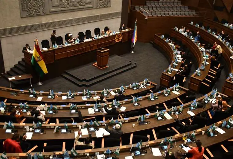 Diputados eliminan la “jubilación forzosa” y aprueban la modificación de la Ley de Pensiones