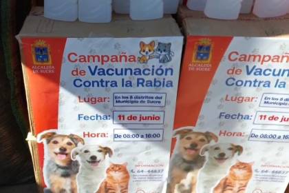 Un niño de 9 años dio positivo a rabia humana y está en terapia intensiva