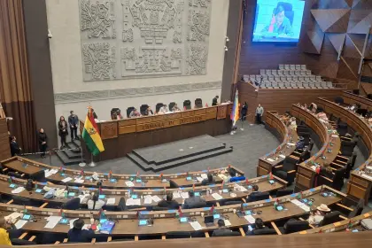 Por los incidentes, la sesión de Diputados por el contrato de litio con la china CBC se suspende “sin fecha ni hora”