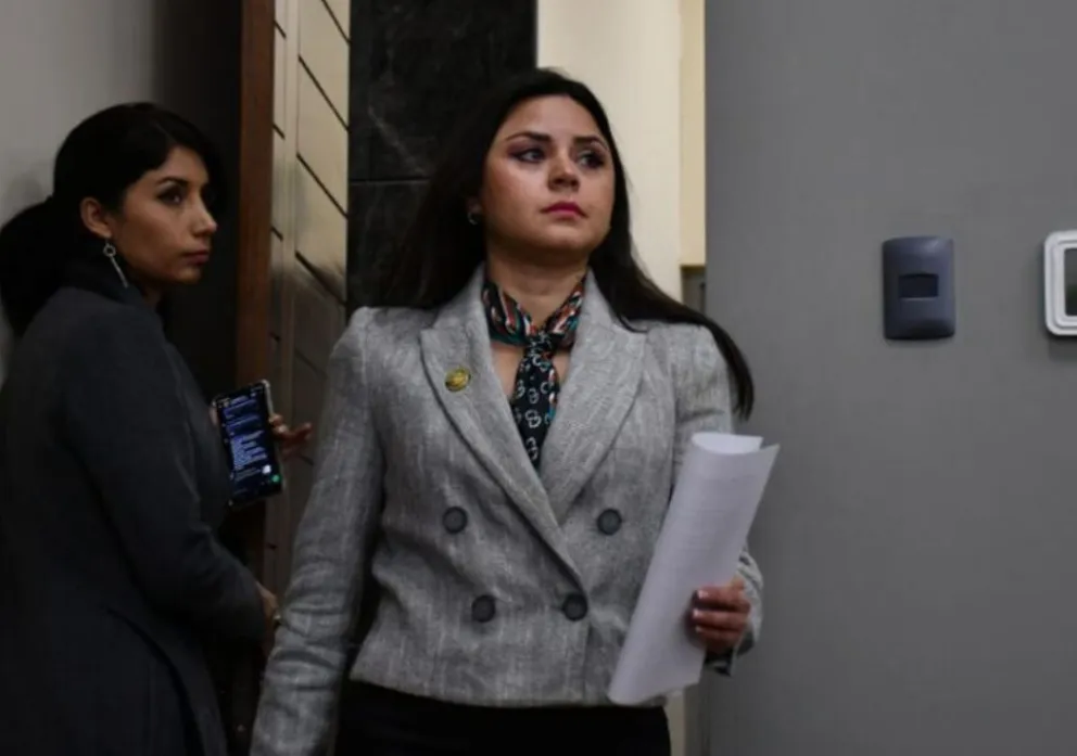 Vocera de Paz niega una división en el Gobierno y dice que “ahora tenemos un vicepresidente que está presente”