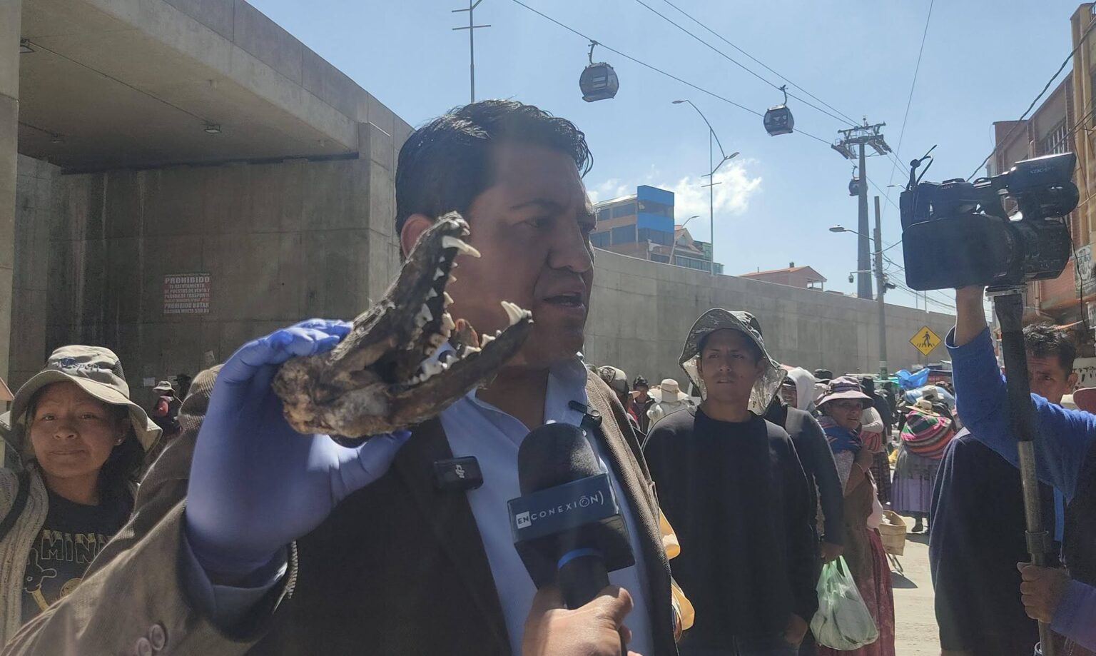 Hallan presunta carne de zorro vendida como charque en una feria de Río Seco